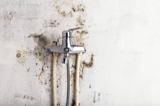 Mold Testing and Removal in Creighton, NE
