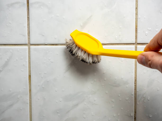 Best Mold Removal and Inspection  in Creighton, NE