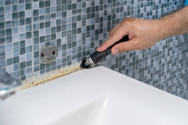 Best Local Mold Removal Service  in Creighton, NE