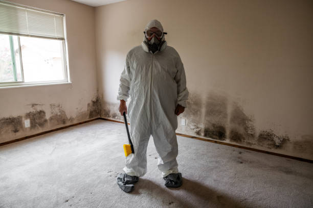 Mold Removal and Inspection in Creighton, NE